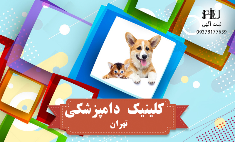 بهترین-کلینیک-دامپزشکی-تهران