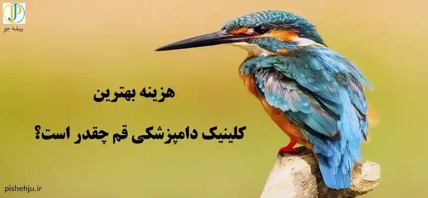 هزینه کلینیک پرندگان قم